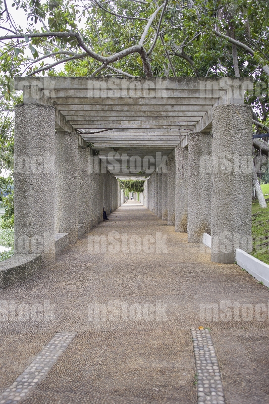 Parque Museo la Venta Tabasco 2