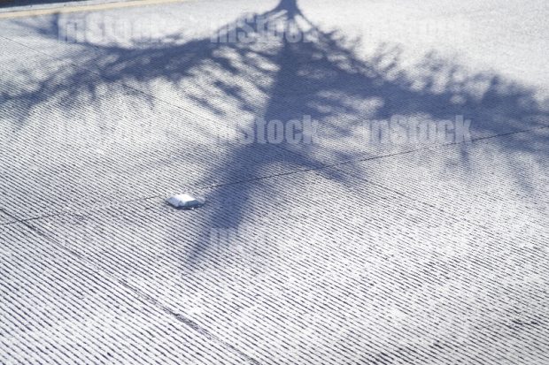 Concreto Hidráulico 1