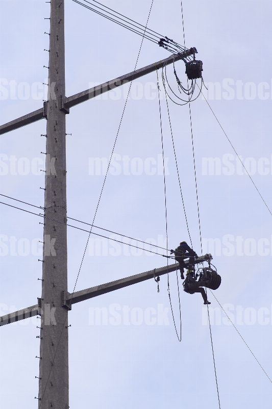 Electricistas