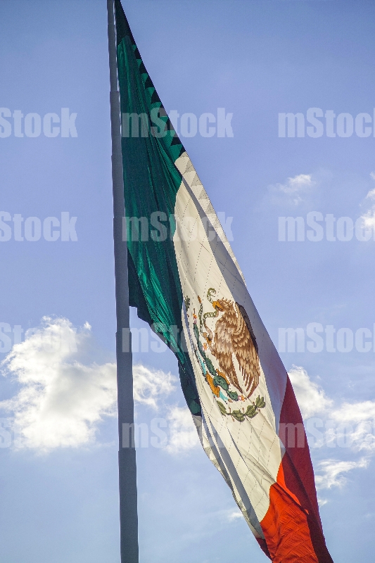 Bandera de Mexico 1