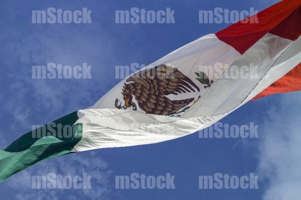 Bandera de Mexico 2
