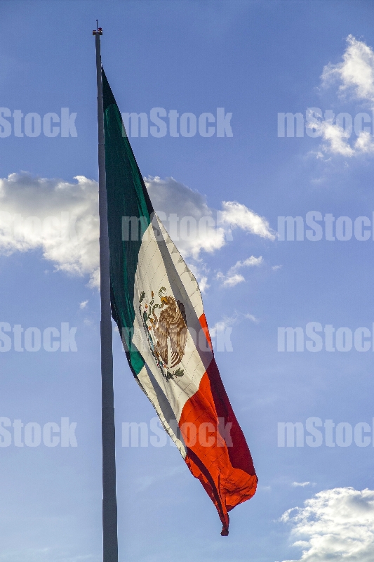 Bandera de Mexico