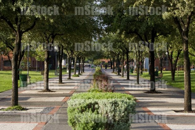 Parque Fundidora 26