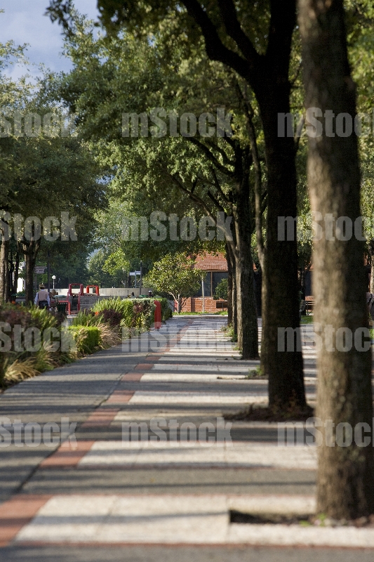 Parque Fundidora 29