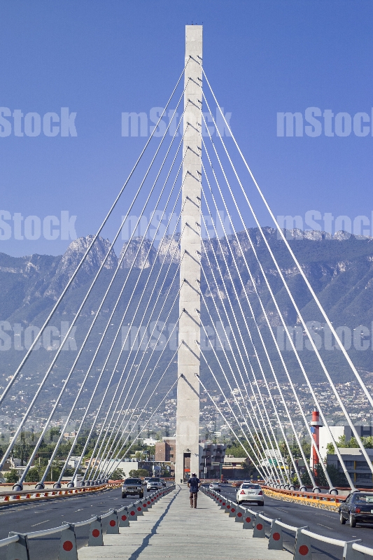 Puente Atirantado 19