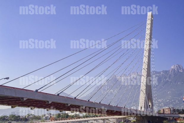 Puente Atirantado 20