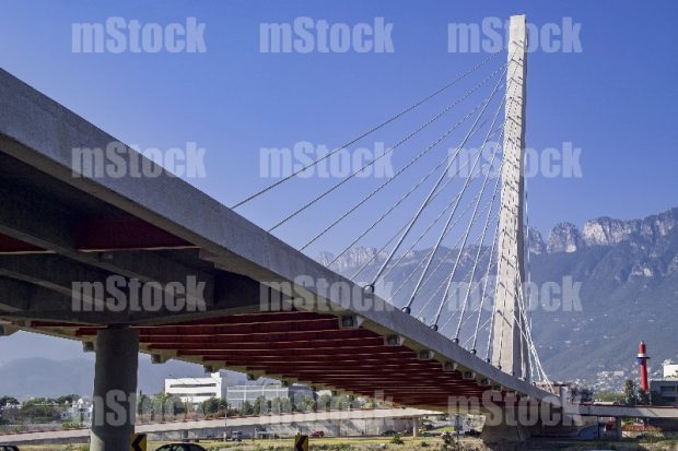 Puente Atirantado 22
