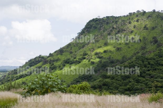 Cerro