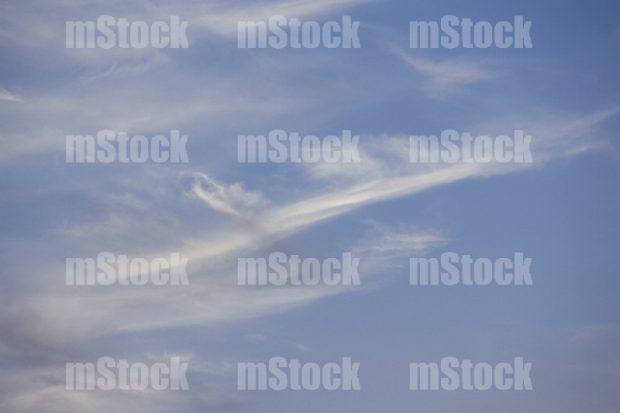 Cielos