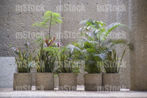 Jardín Interior