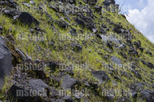 Piedra Volcánica 1