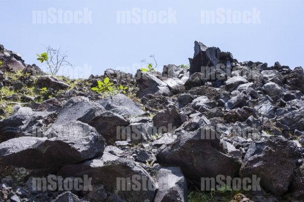 Piedra Volcánica 4