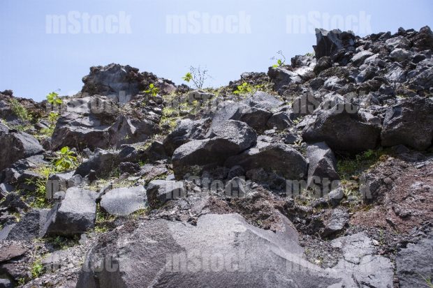 Piedra Volcánica 5