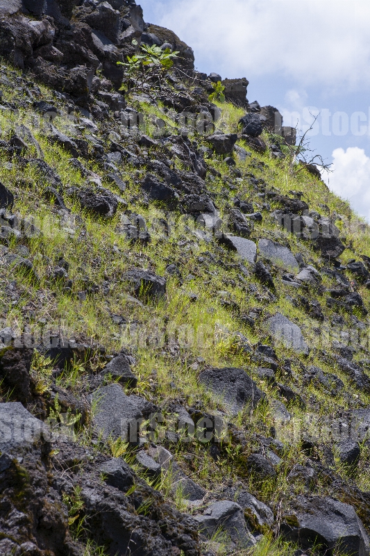 Piedra Volcánica