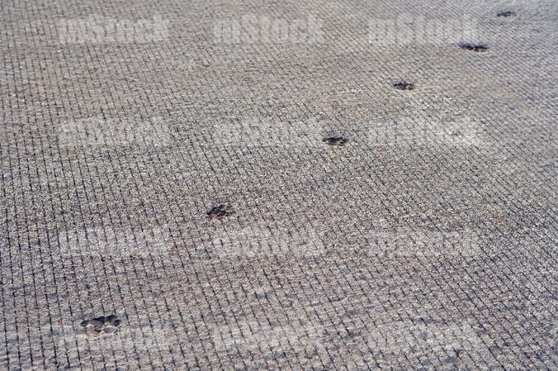 Pavimento de Concreto Hidráulico 9