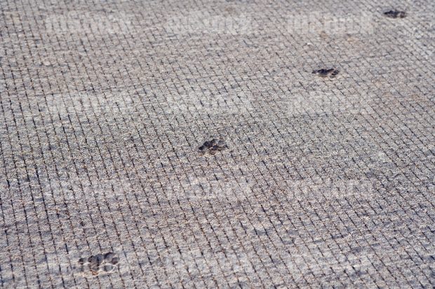 Pavimento de Concreto Hidráulico 10