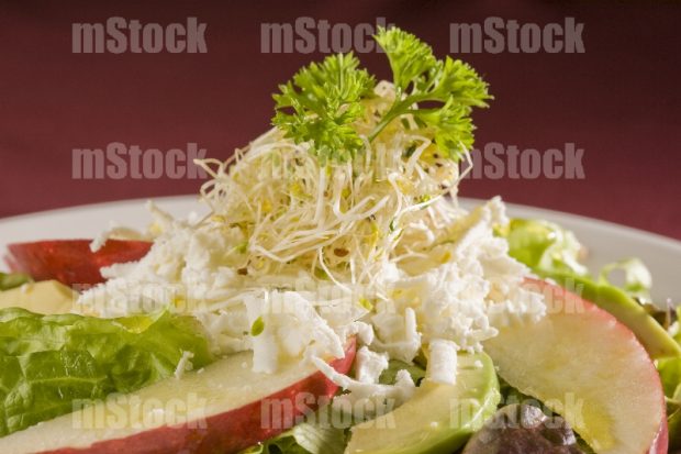 Ensalada verde con manzana y alfalfa