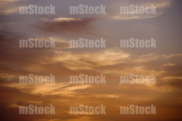 Atardecer 15