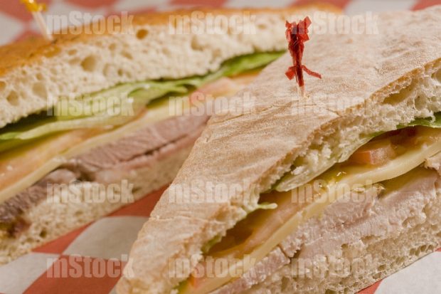 Panini de jamon y queso 1