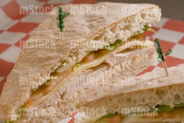 Panini de pollo 1
