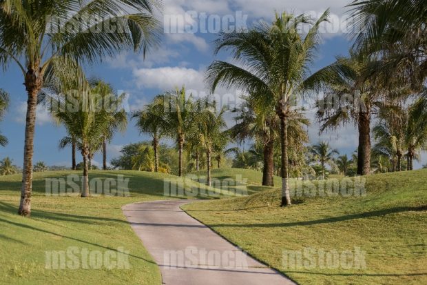 Club de Golf 1