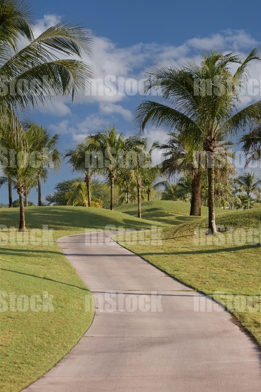 Club de Golf 2