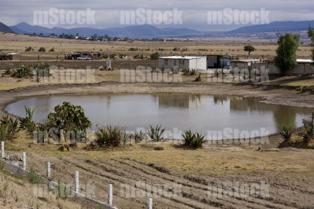 Ejido Rural 1