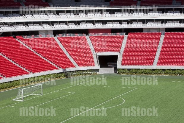 Estadio 6