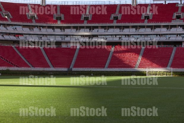 Estadio 7
