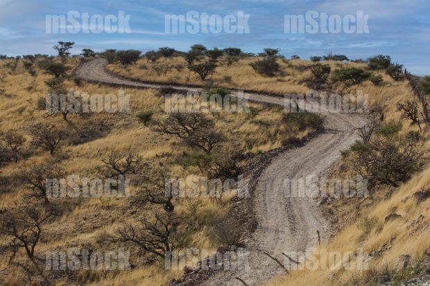 Camino Rural