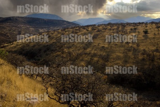Sierra de Chihuahua