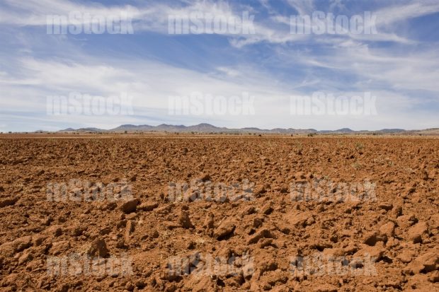Tierra lista para sembrar