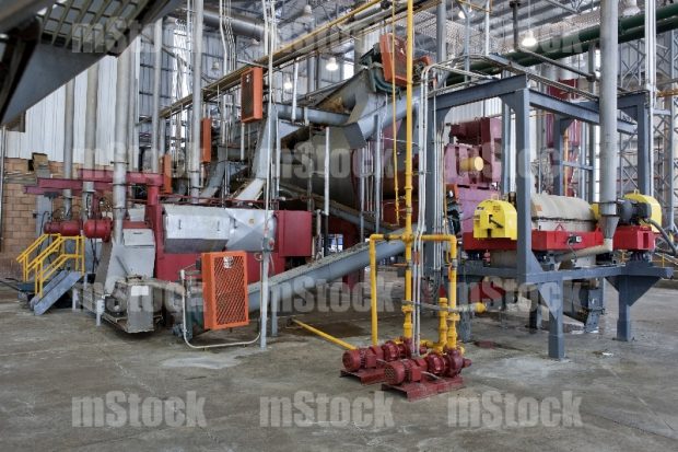 Deshidratador Industrial de Alimentos 1