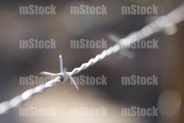 Alambre de Púas Galvanizado