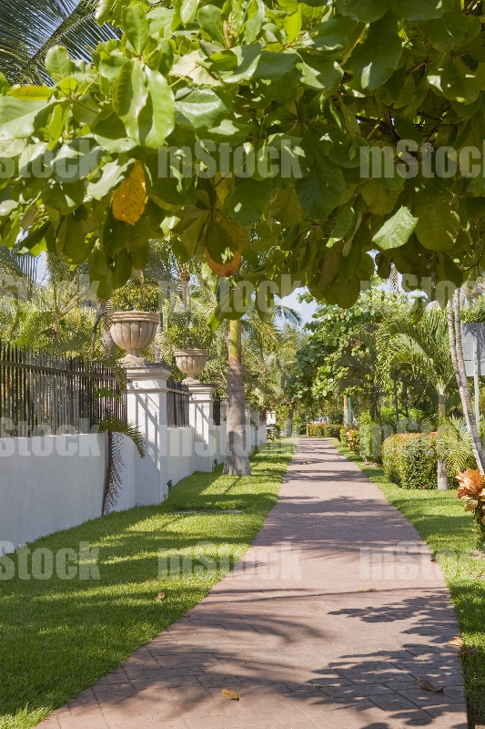 Puerto Vallarta