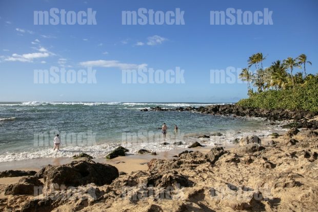 Laniakea Beach Oahu Hawaii