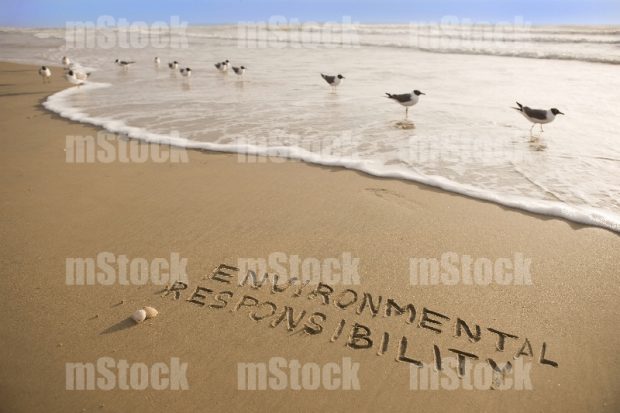 Environmental responsibility word 2