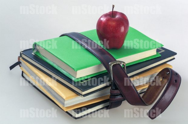La manzana para el maestro