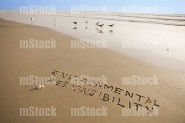 Environmental responsibility word 5