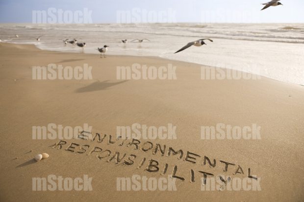 Environmental responsibility word