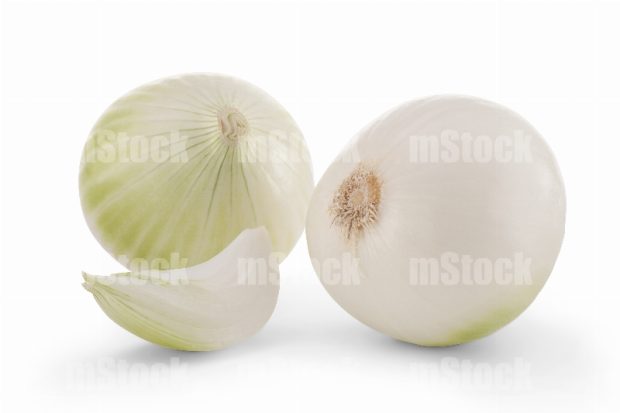 Cebolla Blanca pieza