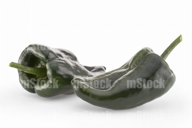 Chile Poblano