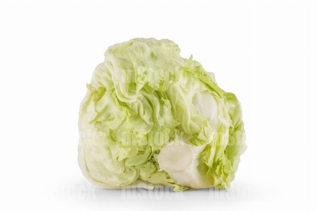 Lechuga Romana pieza