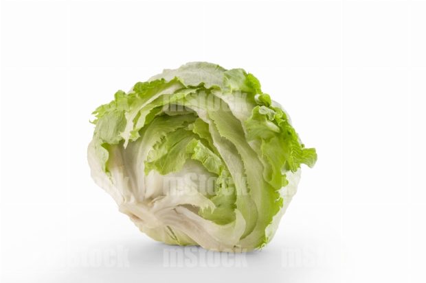 Lechuga