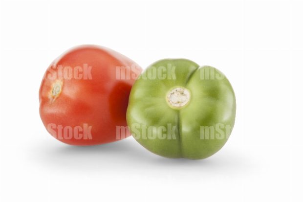 Tomate rojo y verde