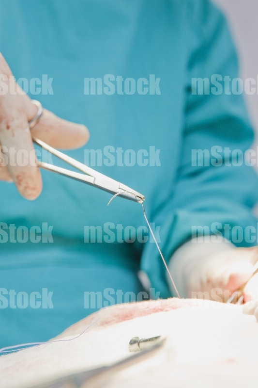 Cirujano Médico cosiendo en cirugia 2