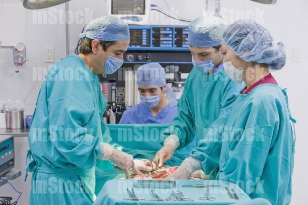 Doctor en Cirugía 3