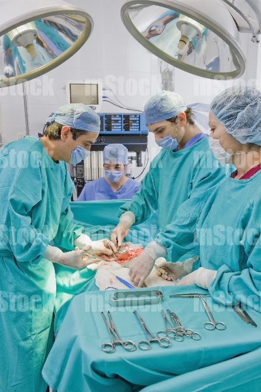 Doctor y Equipo Médico en Cirugía 1