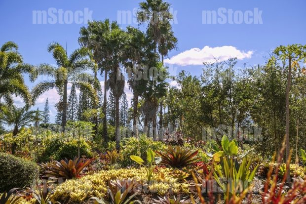 Jardín Botánico