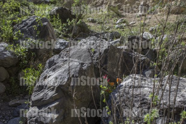 Naturaleza y Senderismo